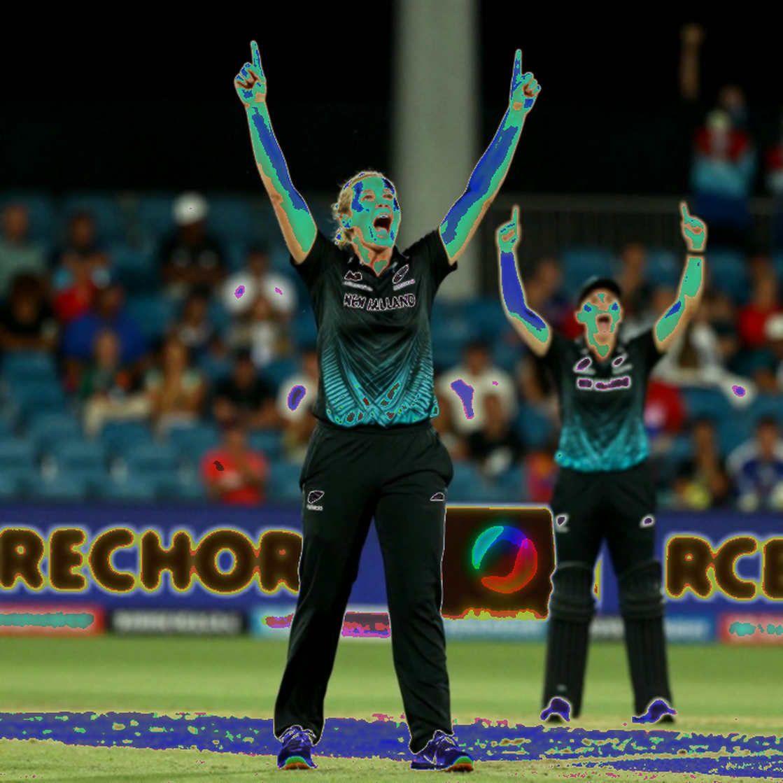 The 24-Wicket Lesson: How Left-Arm Orthodox Spin Broke India at Home