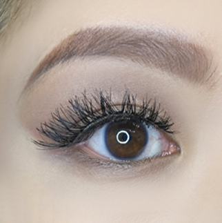 AOA Studio Pack de 6 Faux Cils Scarlette – Image 2